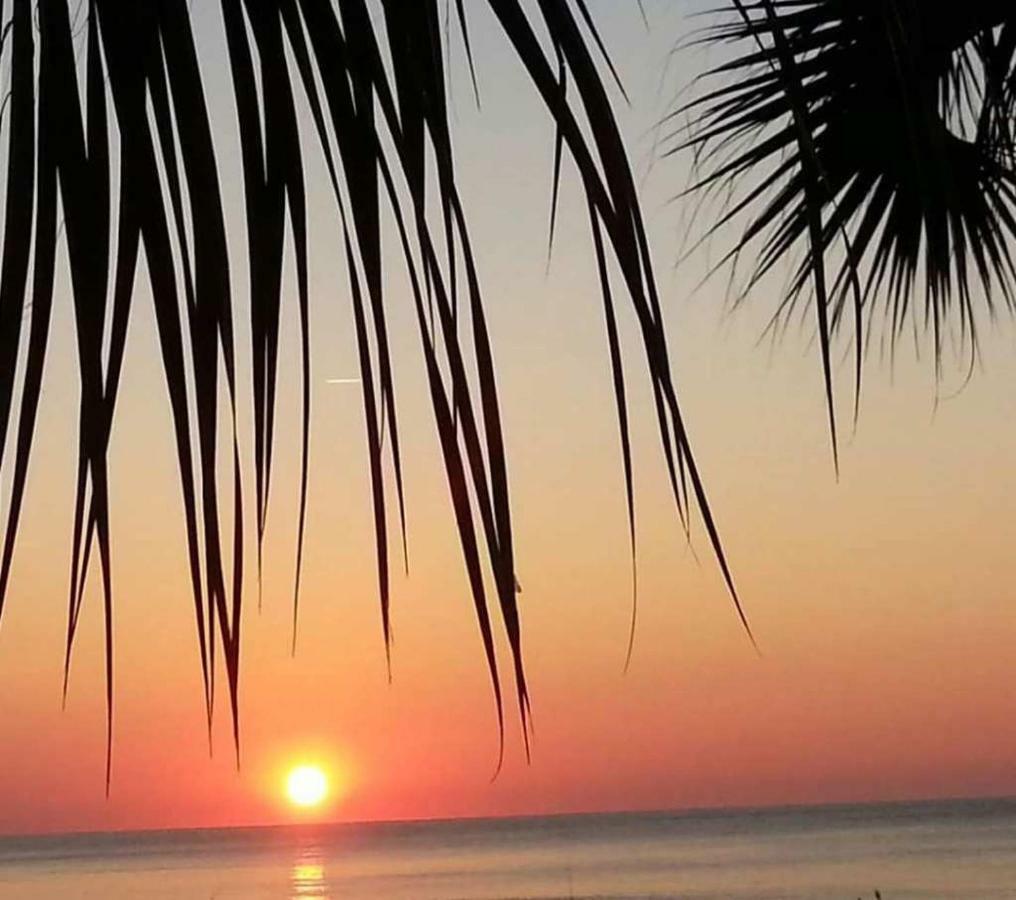 The Palms Resort-Oceanfront マートルビーチ エクステリア 写真