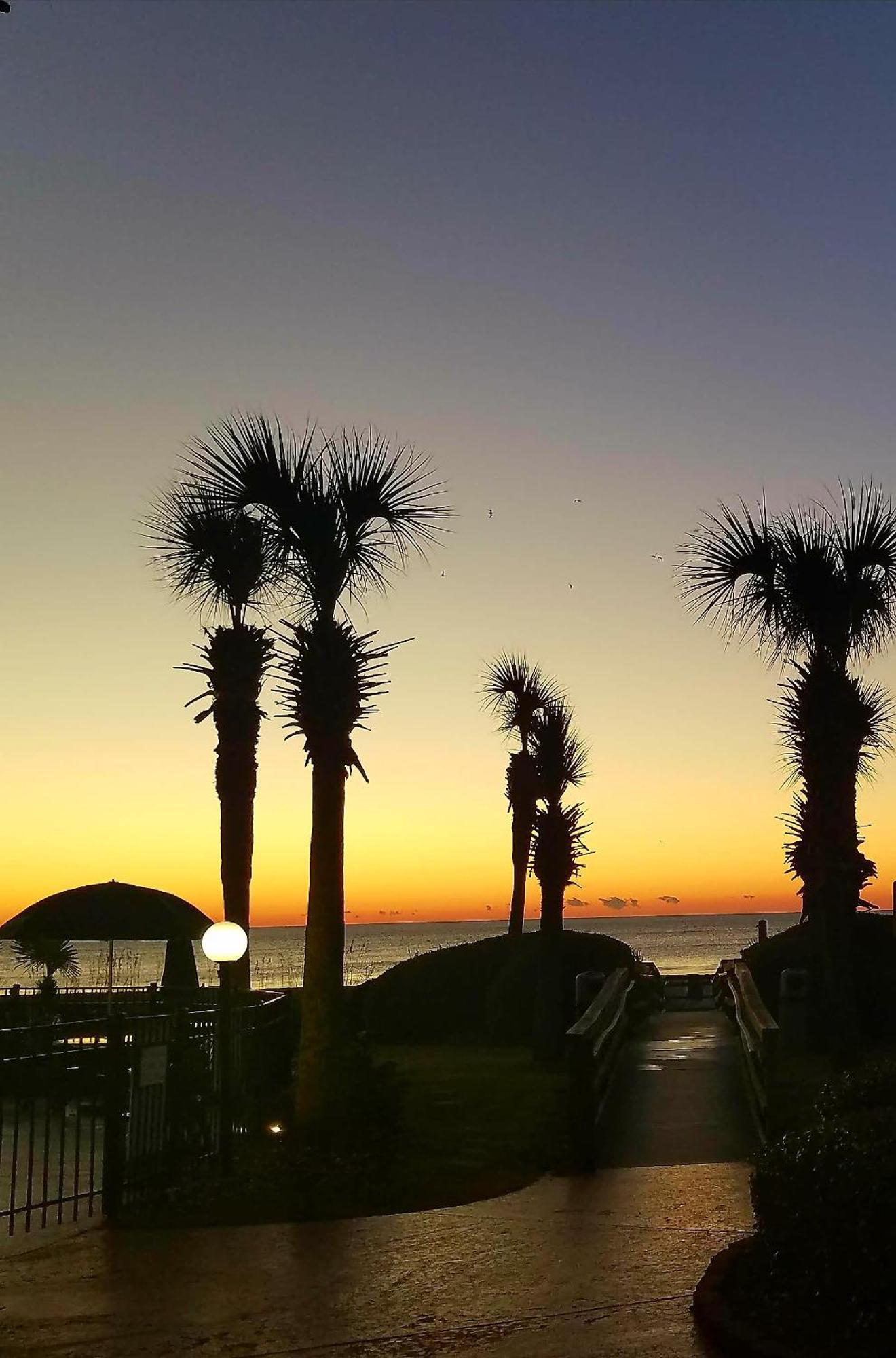 The Palms Resort-Oceanfront マートルビーチ エクステリア 写真